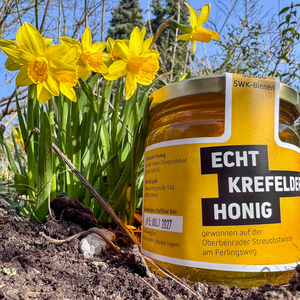 Honigglas vor blühenden Narzissen