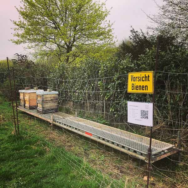 Bienenstand in Krefeld Gellep-Stratum