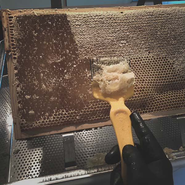 Honigwabe entdeckeln